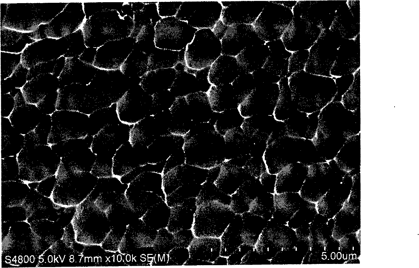 Preparation method of gene coatings of medical device