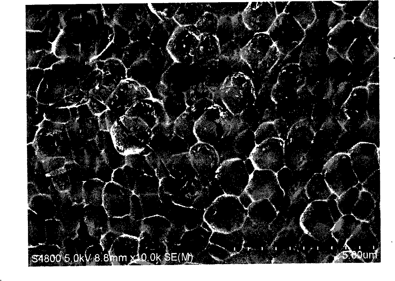 Preparation method of gene coatings of medical device