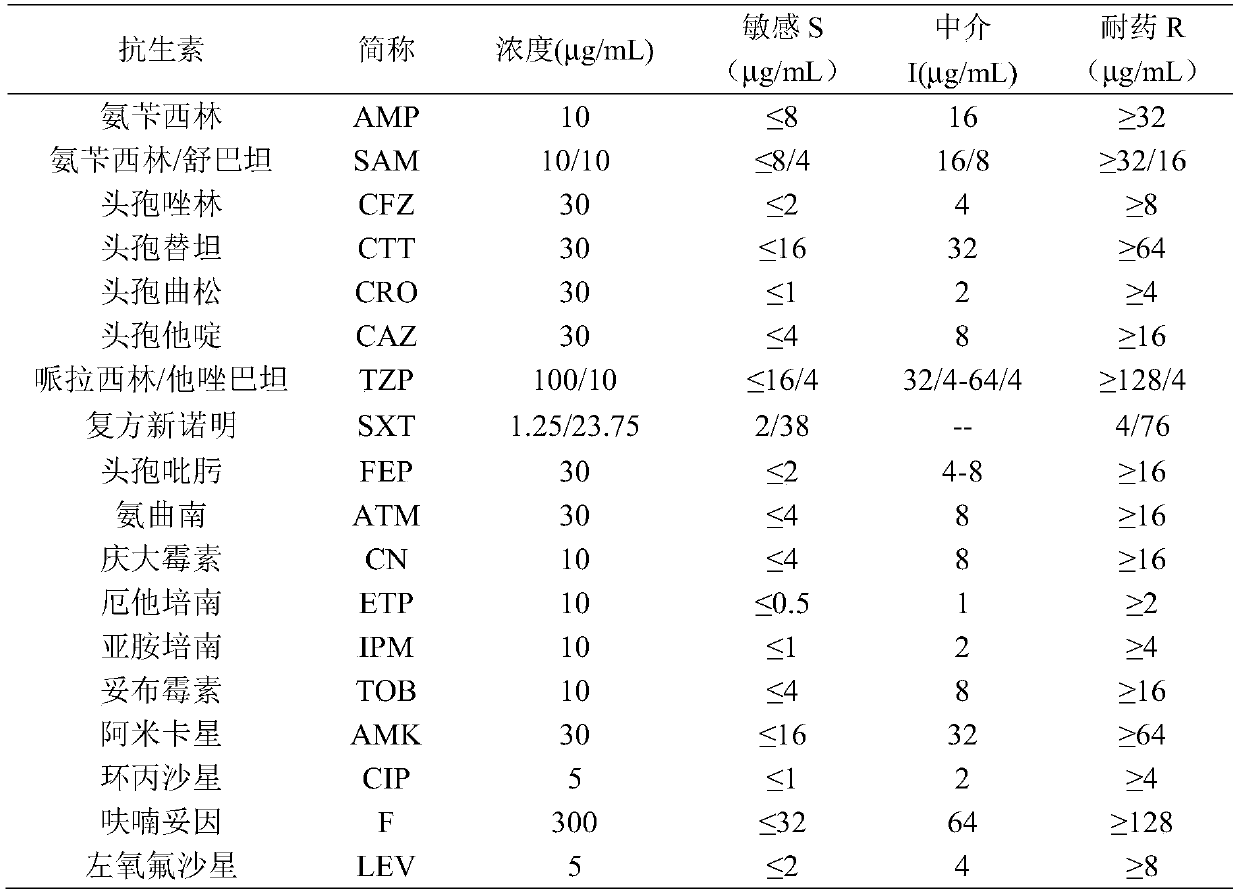 Application of chelerythrine in inhibiting growth of multi-drug resistant providencia rettgeri