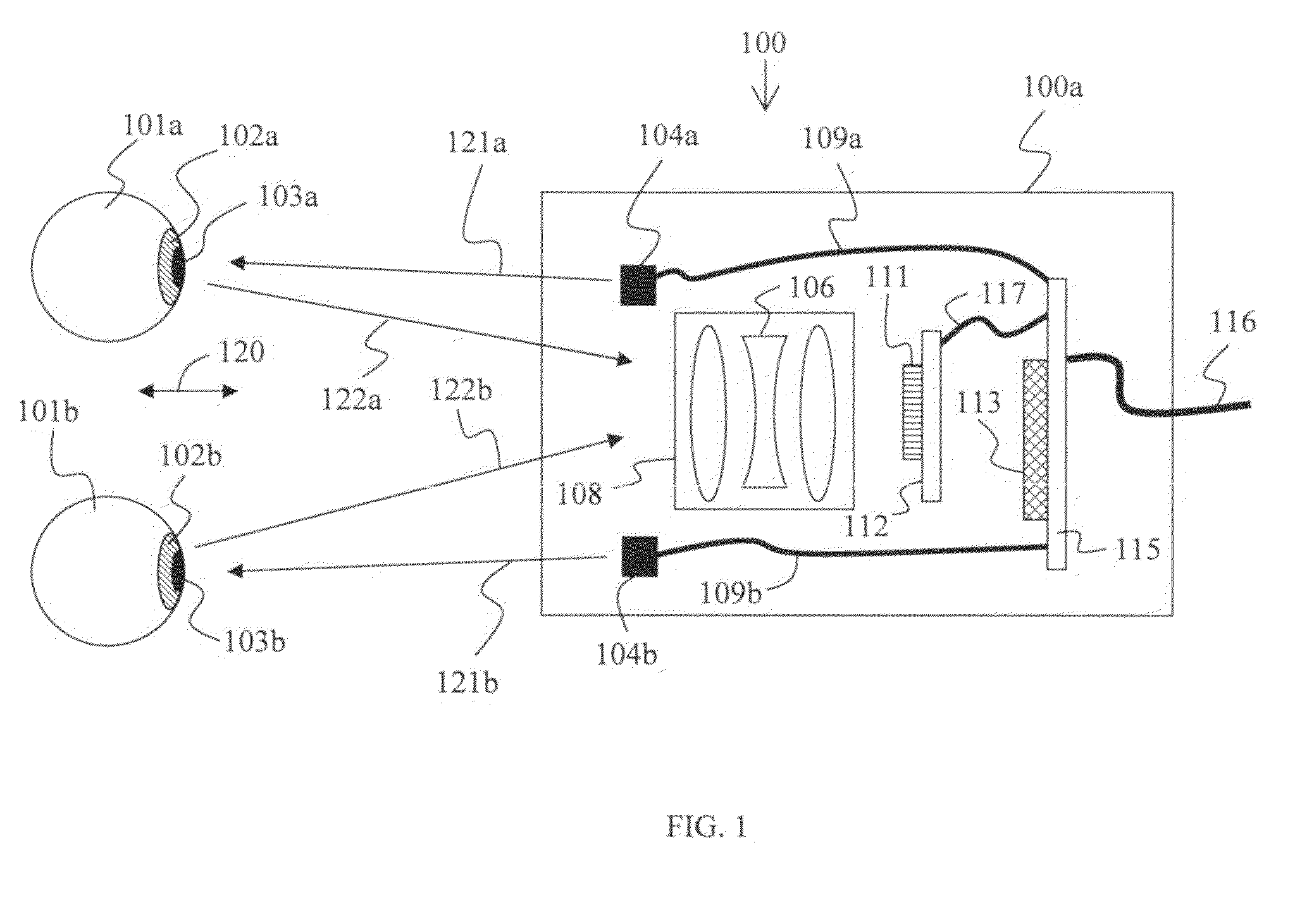 Apparatus and method for two eye imaging for iris identification