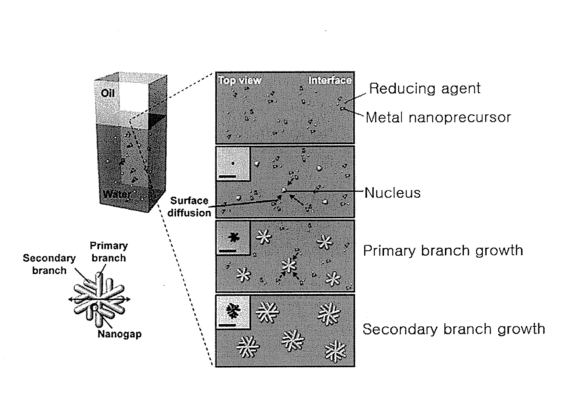 Method for preparing a dendrimer type or dendrimer-derived metal nanostructure in liquid-liquid interface and dendrimer type or dendrimer-derived metal nanostructure prepared by same