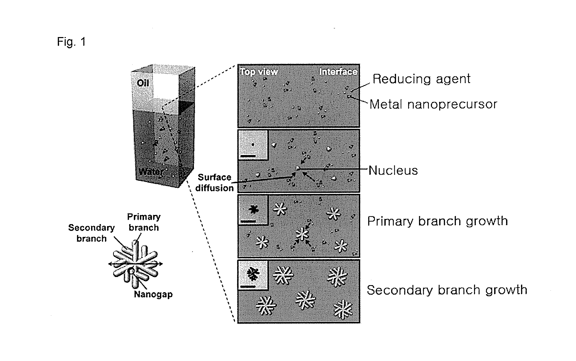 Method for preparing a dendrimer type or dendrimer-derived metal nanostructure in liquid-liquid interface and dendrimer type or dendrimer-derived metal nanostructure prepared by same