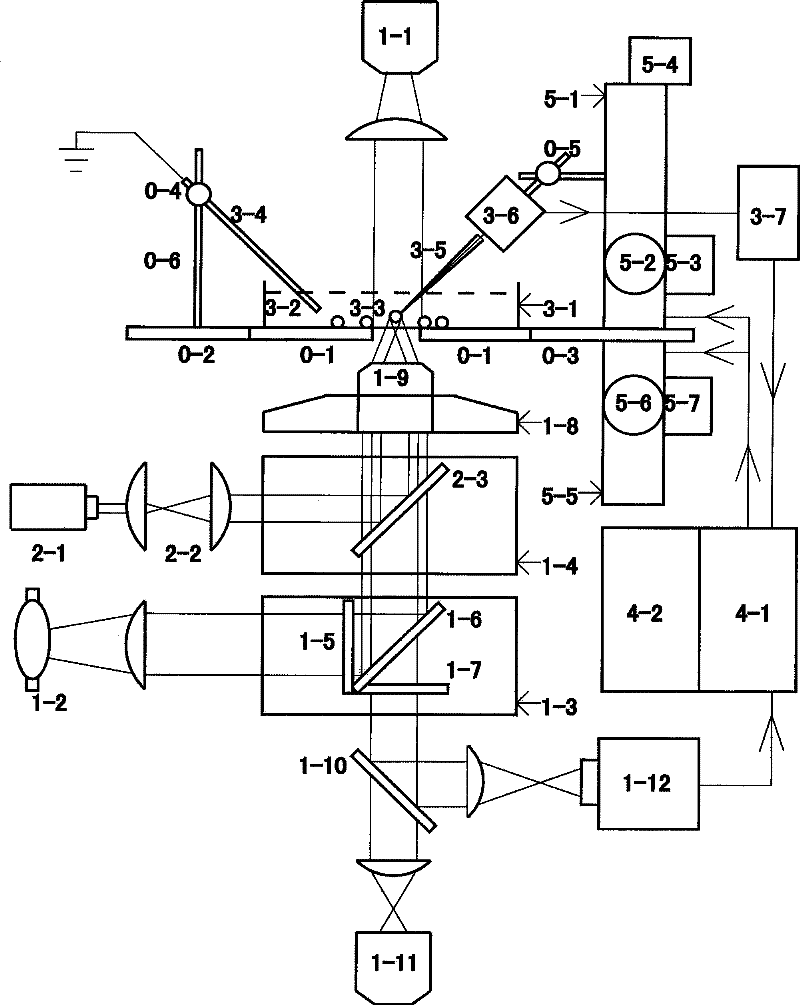 Non-destructive micro-measurement system that can observe fluorescent biological samples