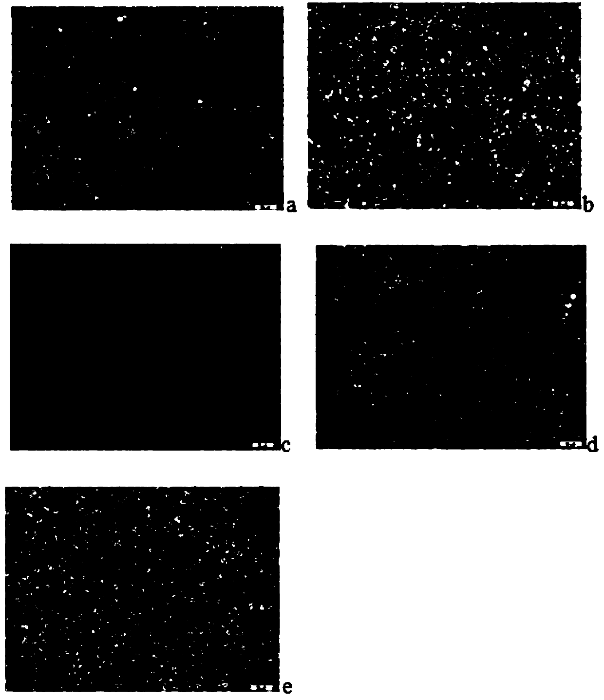 Slimming and fat reducing composition and application thereof