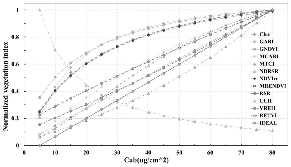 Chlorophyll content remote sensing inversion method and device, electronic equipment, medium and product