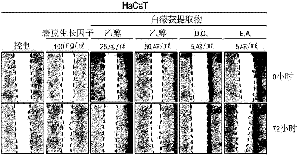 Cosmetic composition for skin regeneration and pharmaceutical composition for wound treatment, containing sinapic acid, which is marker component of cynanchum atratum extracts, or cynanchum atratum extracts containing same