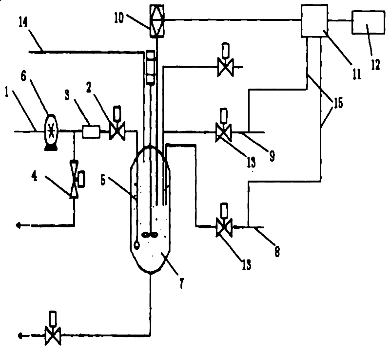 On-line ammonia detection device in continuous annealing furnace and its application method