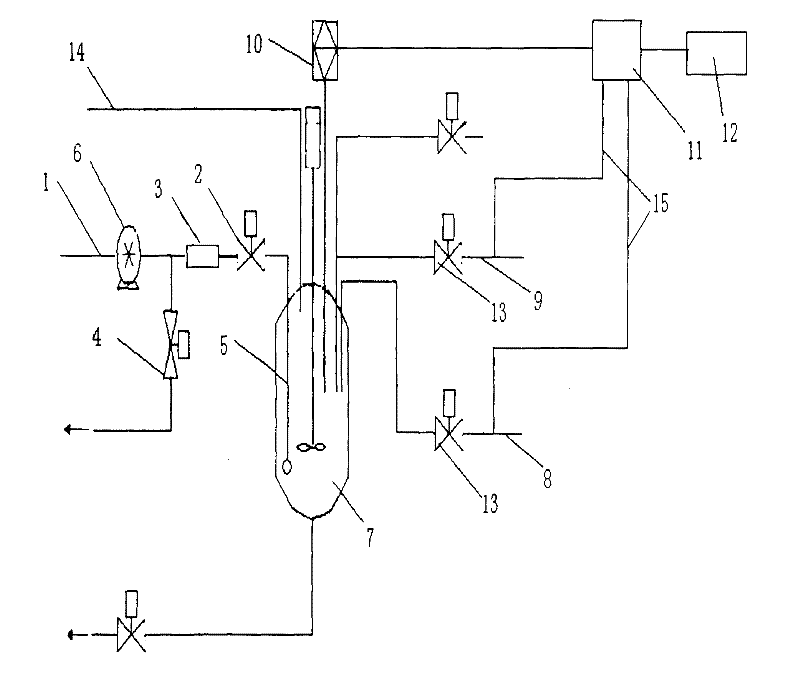 On-line ammonia detection device in continuous annealing furnace and its application method