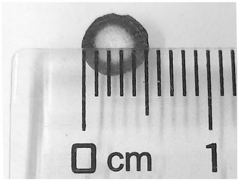 Catalyst for oxidative esterification of isobutene, preparation method and application thereof