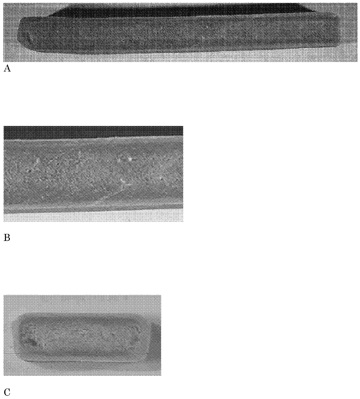 Method of producing edible pet chew product and product produced thereby