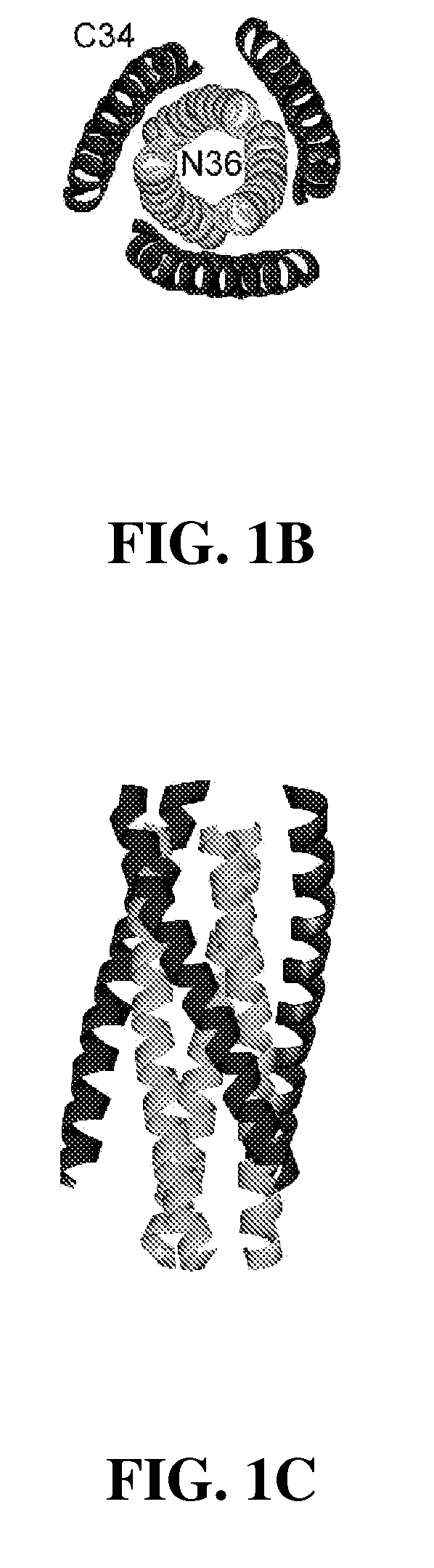 Tighter-binding c-peptide inhibitors of hiv-1 entry