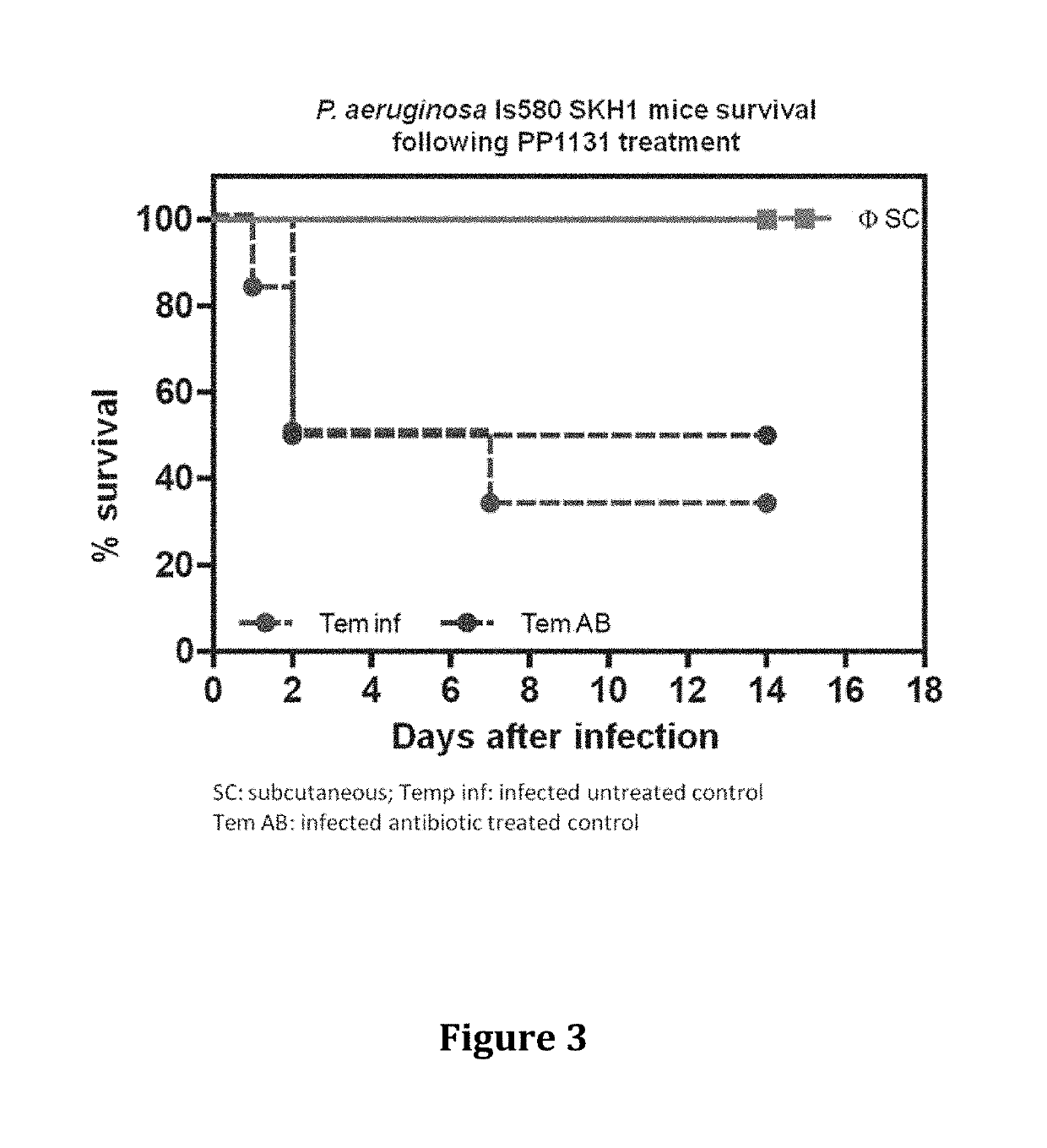 Phage therapy of <i>Pseudomonas </i>infections