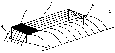 Agricultural greenhouse with flexible structure