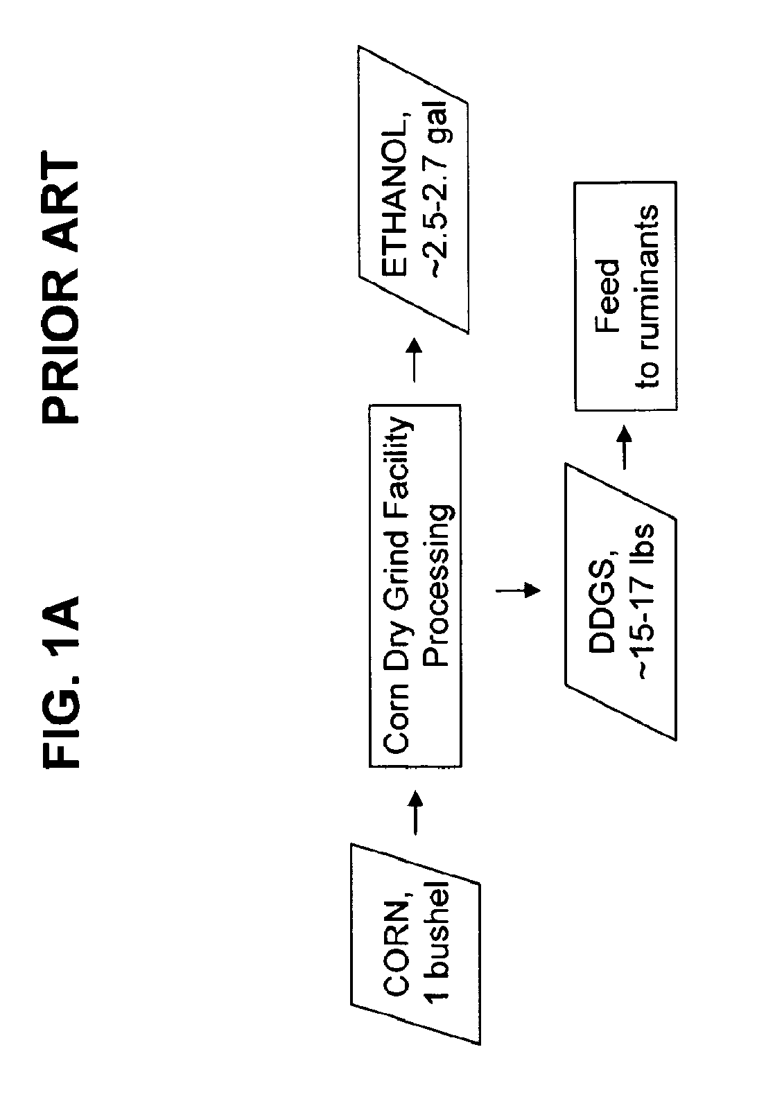 Fiber separation from grain using elusieve process