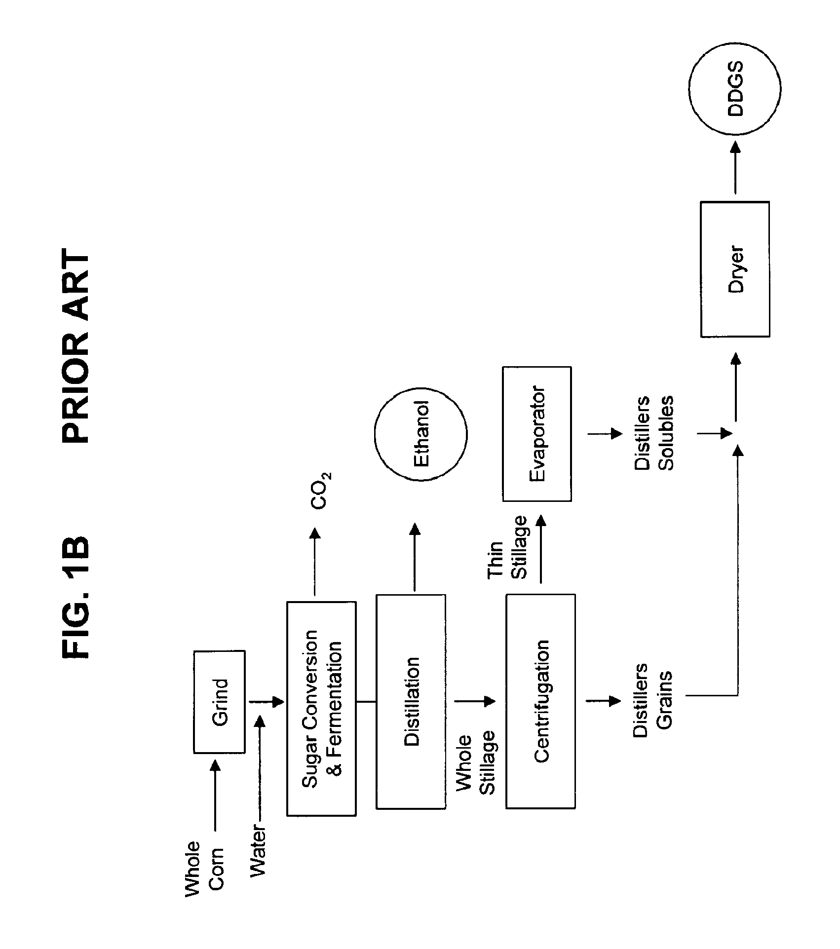 Fiber separation from grain using elusieve process