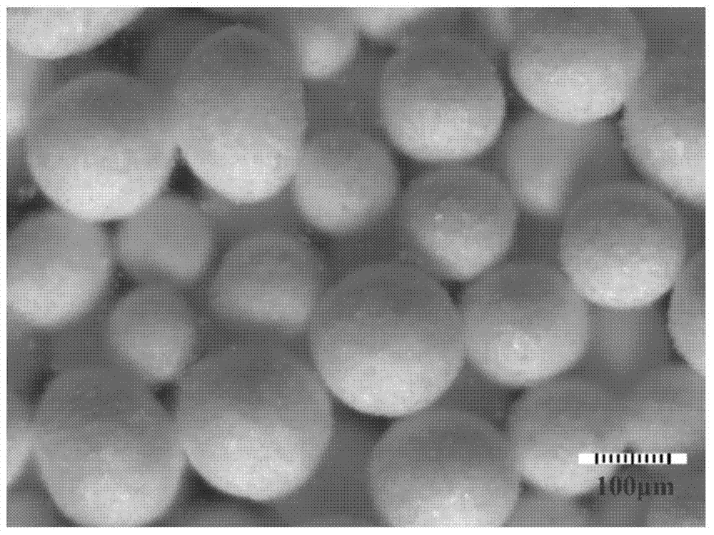 Gypsum microspheres and low elastic modulus expansion cement system