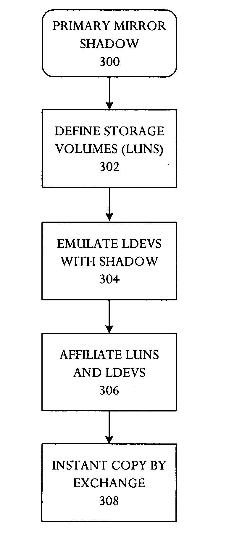 Storage system with primary mirror shadow