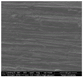 Method for electroplating zinc in neodymium iron boron magnet ionic liquid