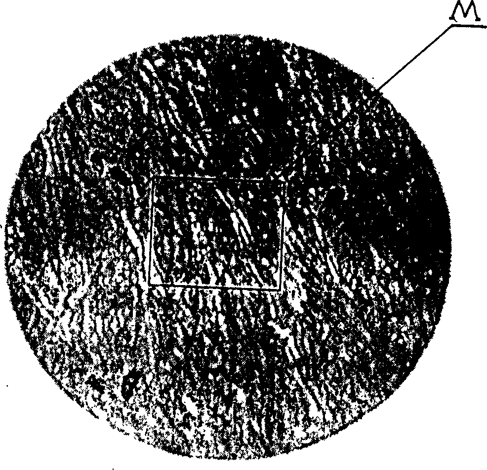 Micro-image anti-fraud method for objects surface