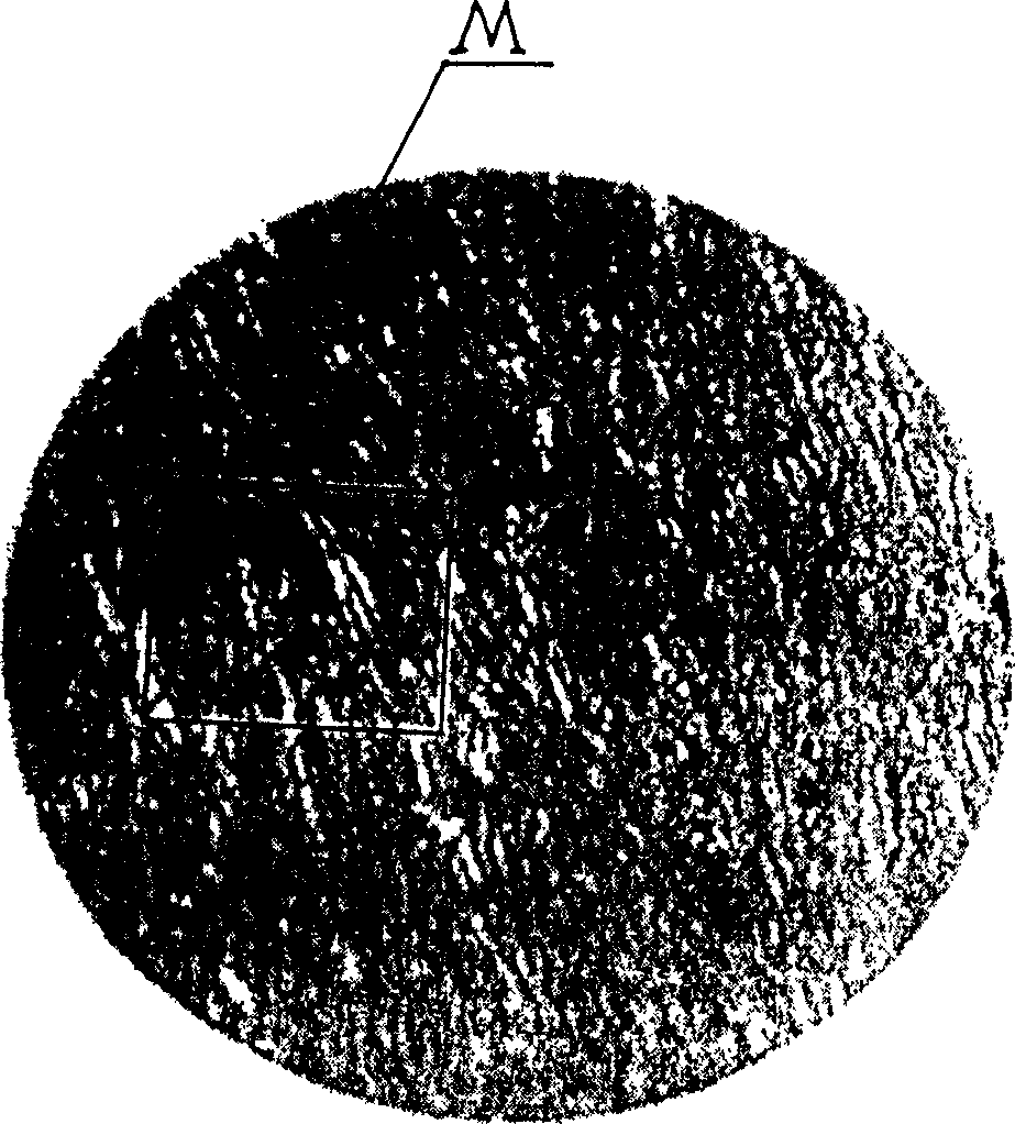 Micro-image anti-fraud method for objects surface