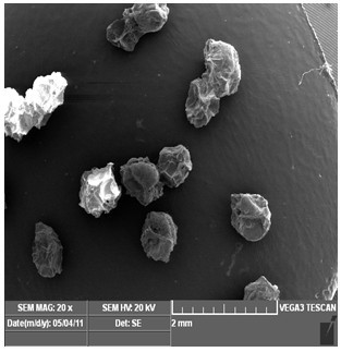 Method for preparing compound Chinese medicine microcapsules