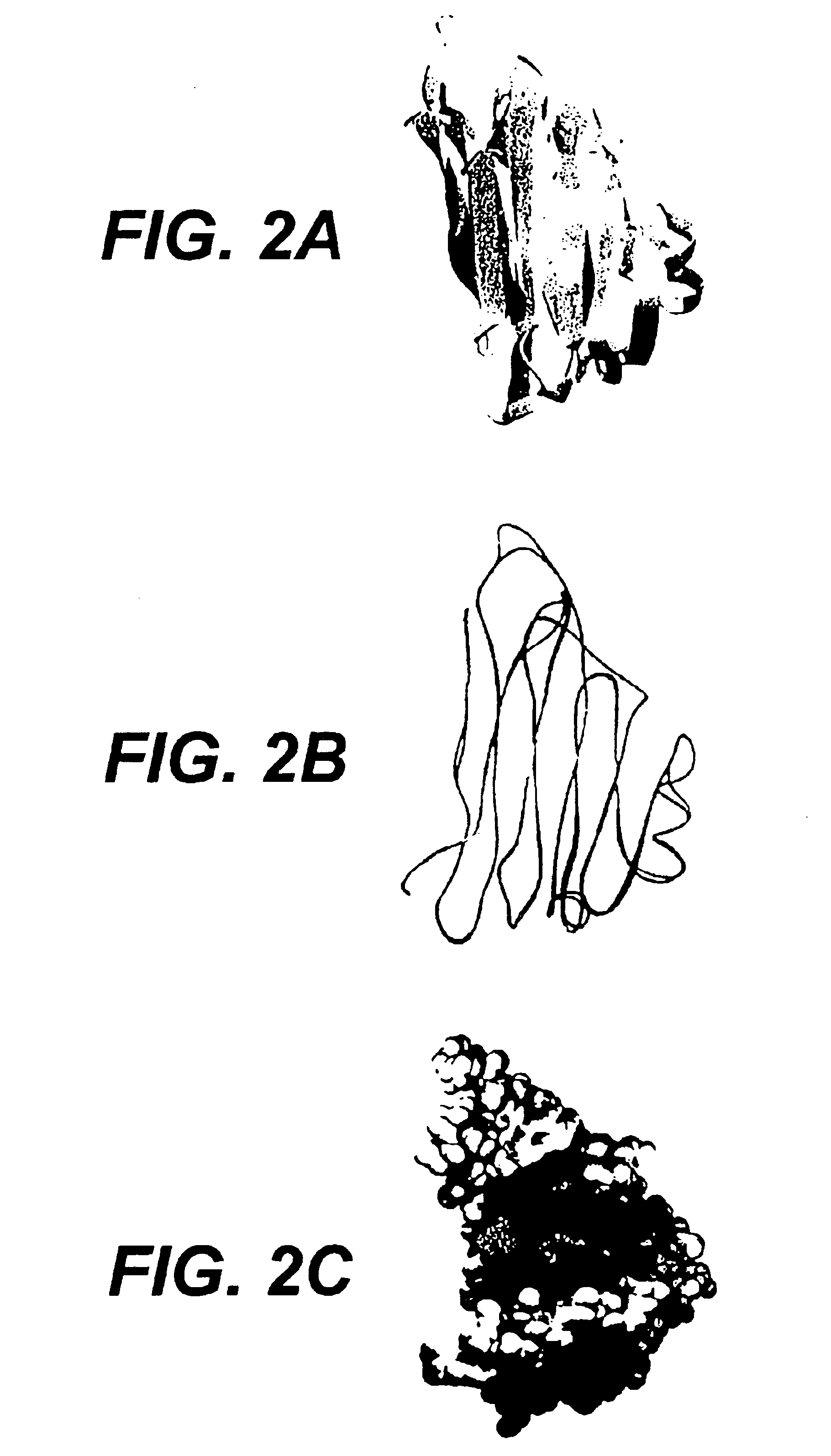 Collagen-binding proteins from enterococcal bacteria