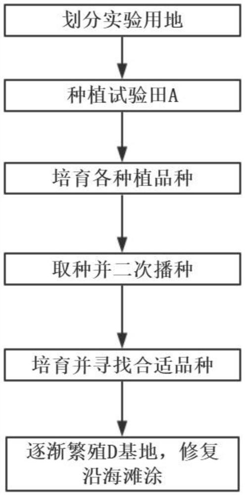 A large-scale Suaeda salsa coastal beach restoration method and equipment based on land cultivation