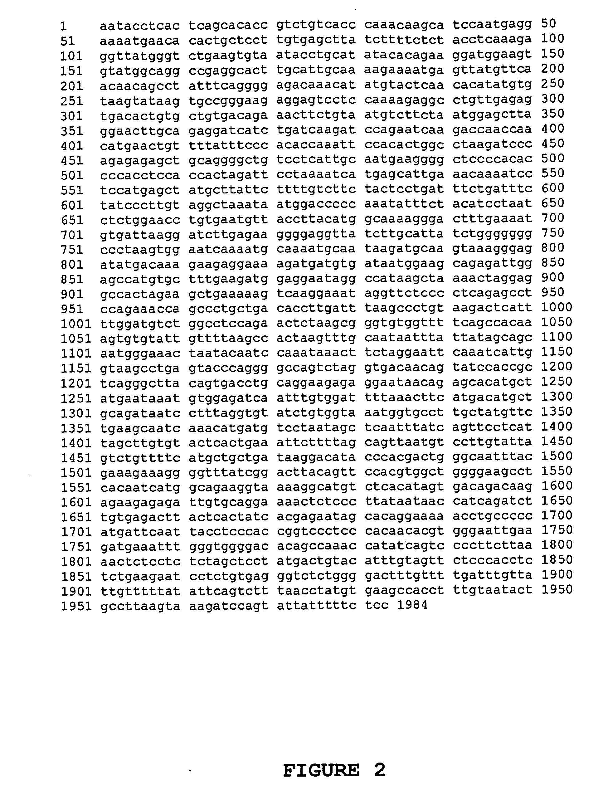 Osteoblast Growth Factor