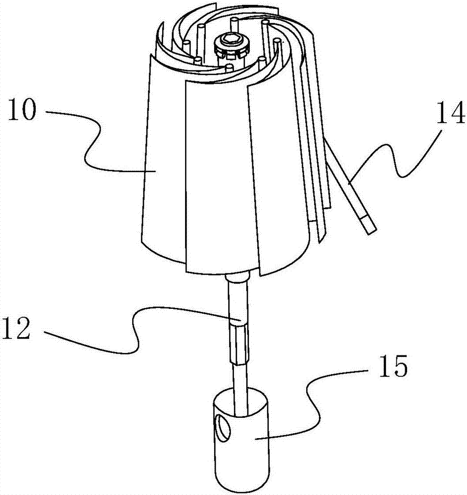 Umbrella rolled for storage