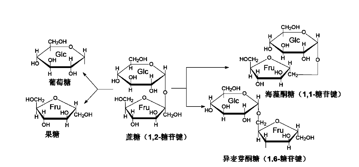 Preparation method of sucrose isomerase