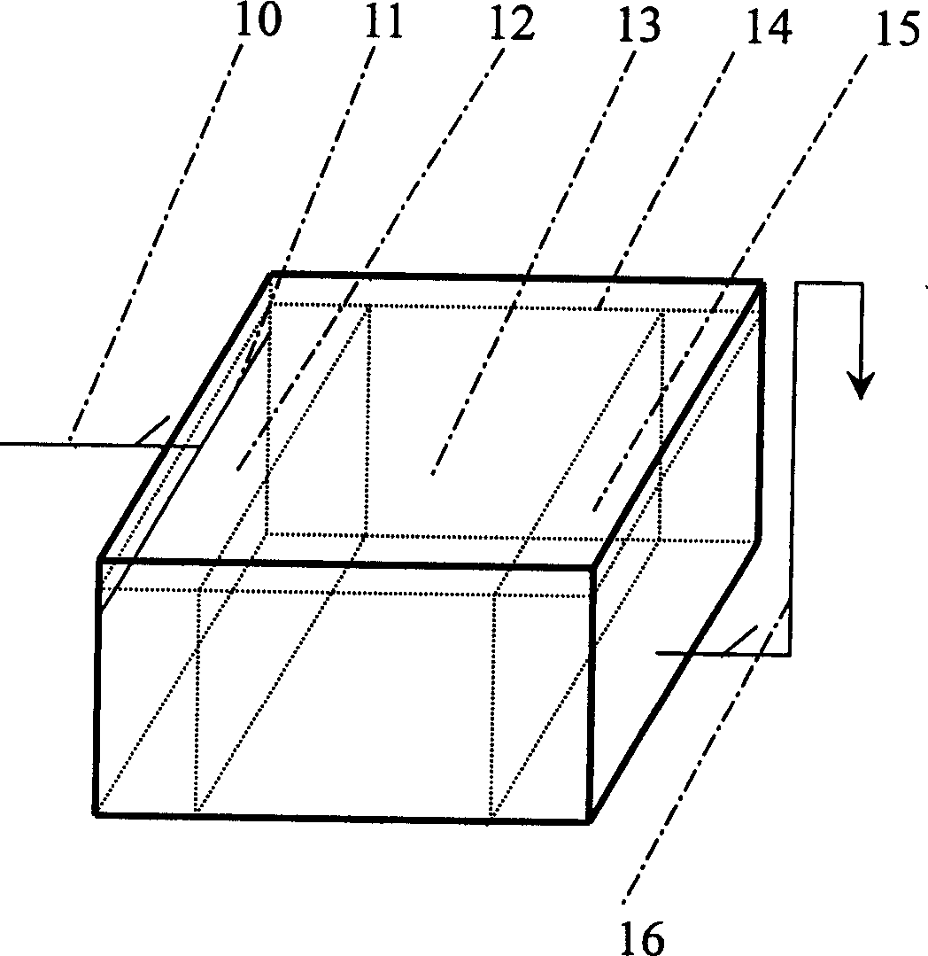 Composite artificial wet land denitrifying and dephosphorizing method for living waste water vertical fluid-horizontal fluid