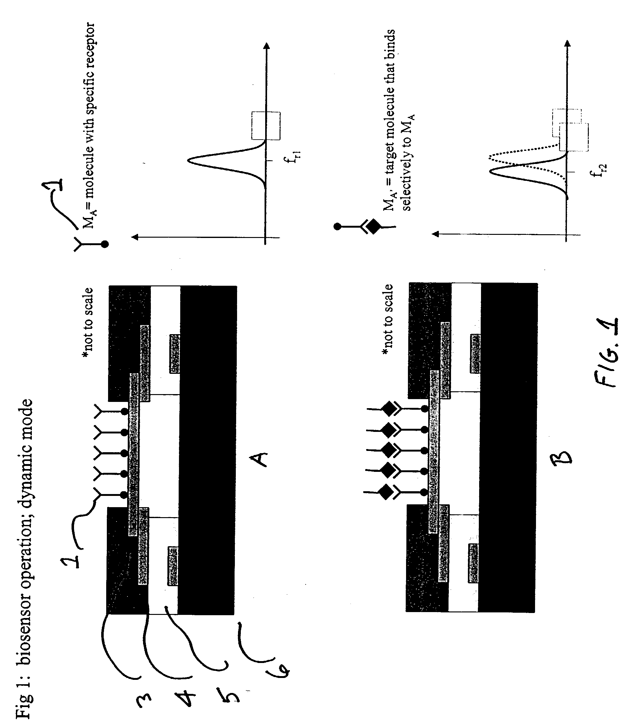 Integrated nanomechanical sensor array chips