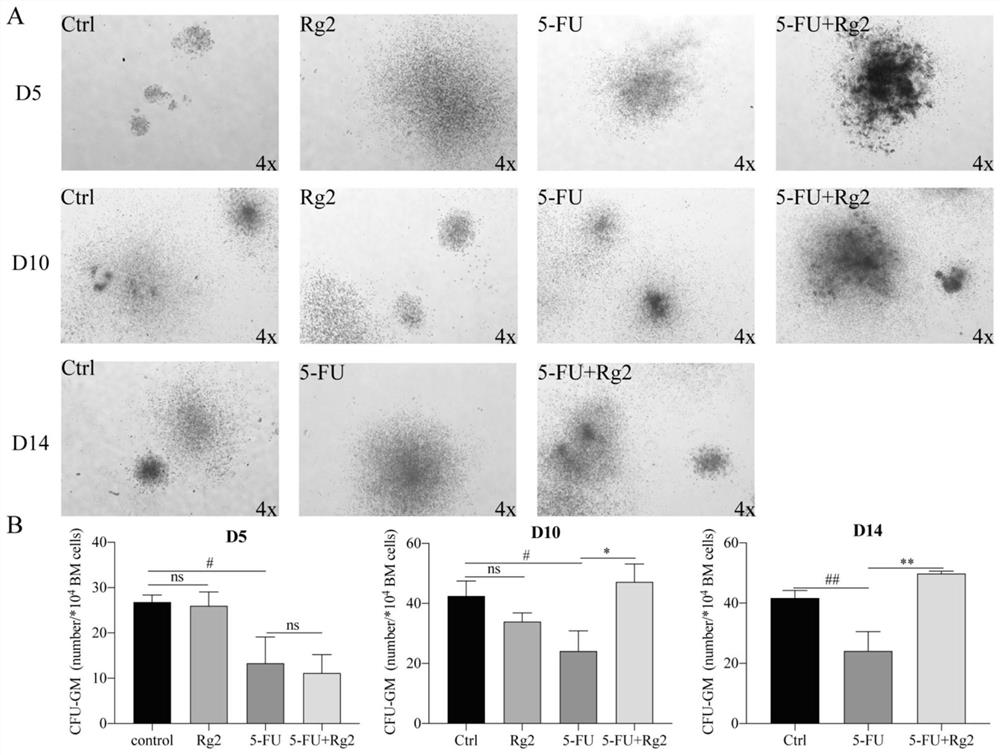 Use of ginsenoside Rg2 in preparing medicine for treating myelosuppression and medicine containing ginsenoside Rg2