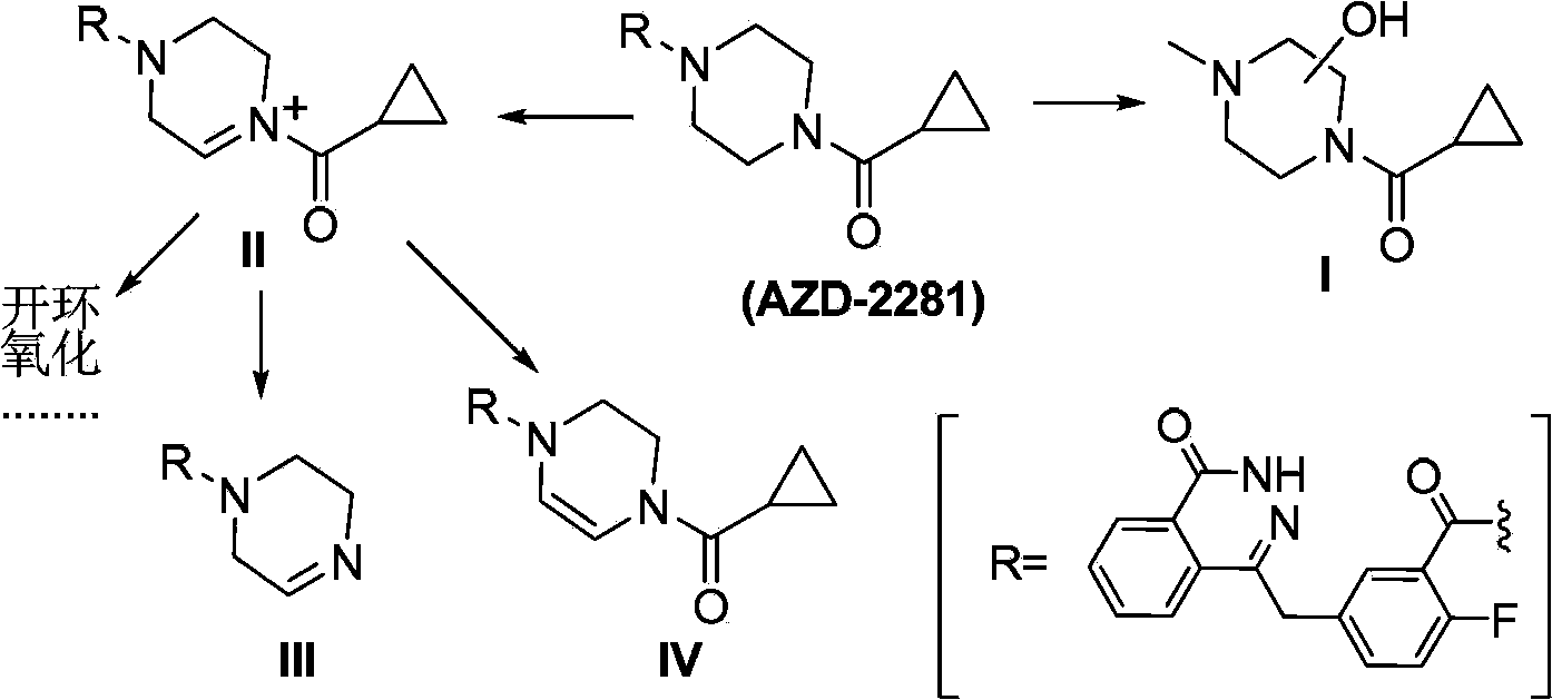 Condensed ring pyridazinone compound with bridge ring structure as well as preparation method and application thereof