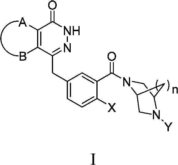 Condensed ring pyridazinone compound with bridge ring structure as well as preparation method and application thereof