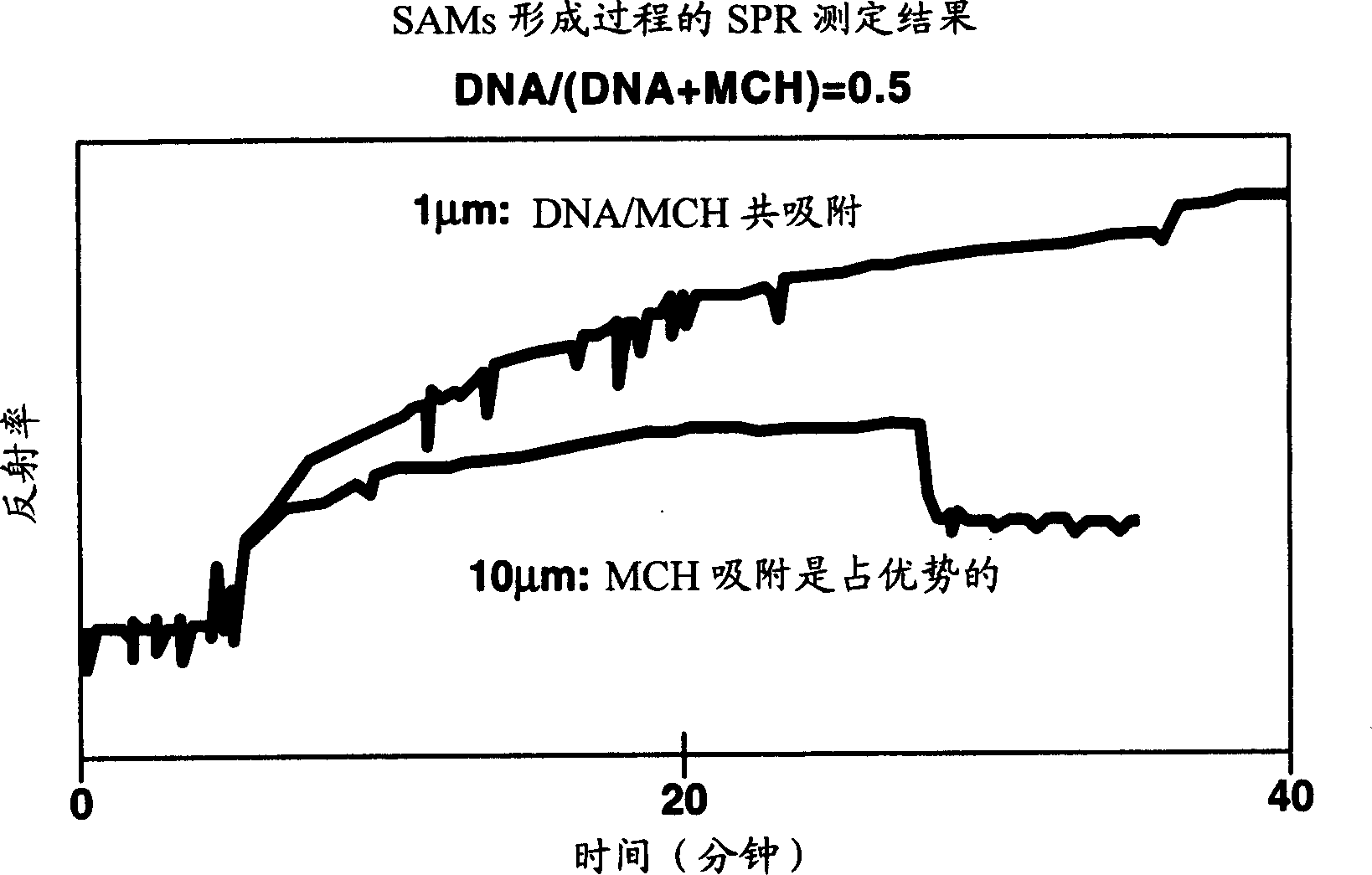 Nuclein acid fixing method and method for producing biosensor by said method