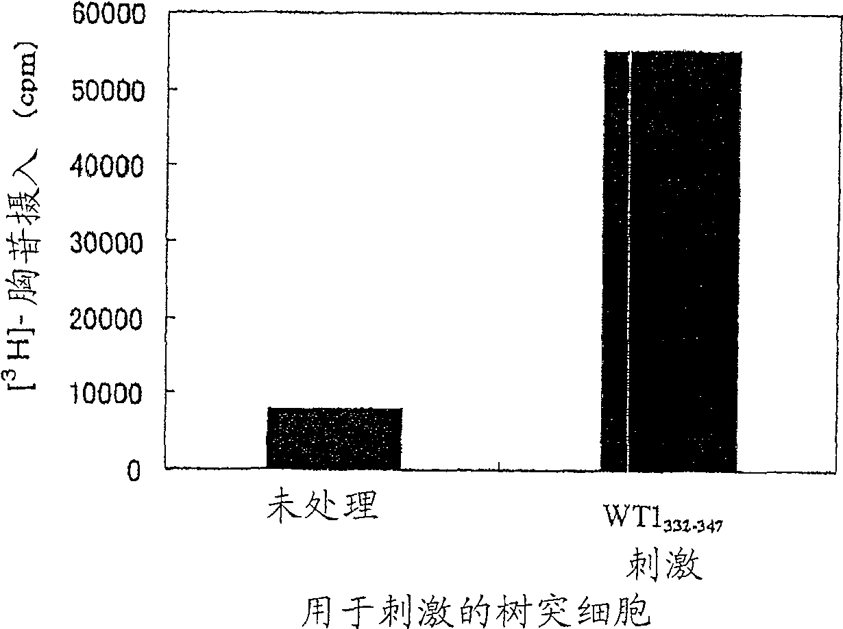 Wt1-origin HLA-DR-binding antigen peptide