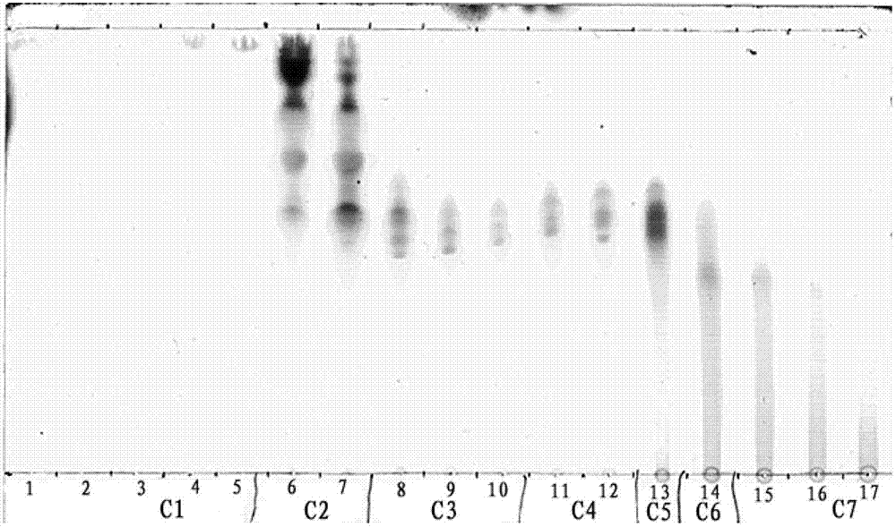 Separation method for dermatophagoides farinae allergy resistant active substance in propolis