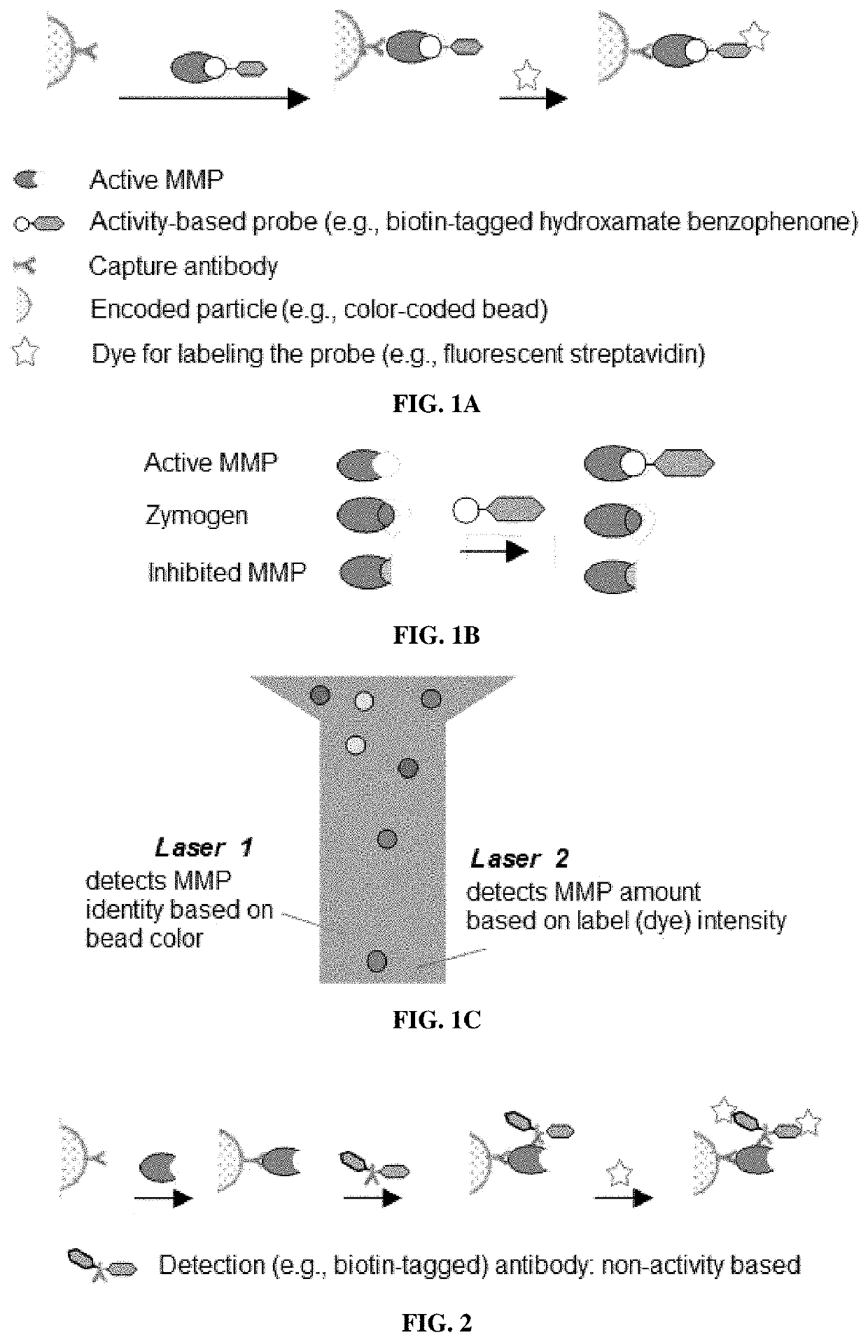 Compositions and multiplex assays for characterizing active proteases and their inhibitors