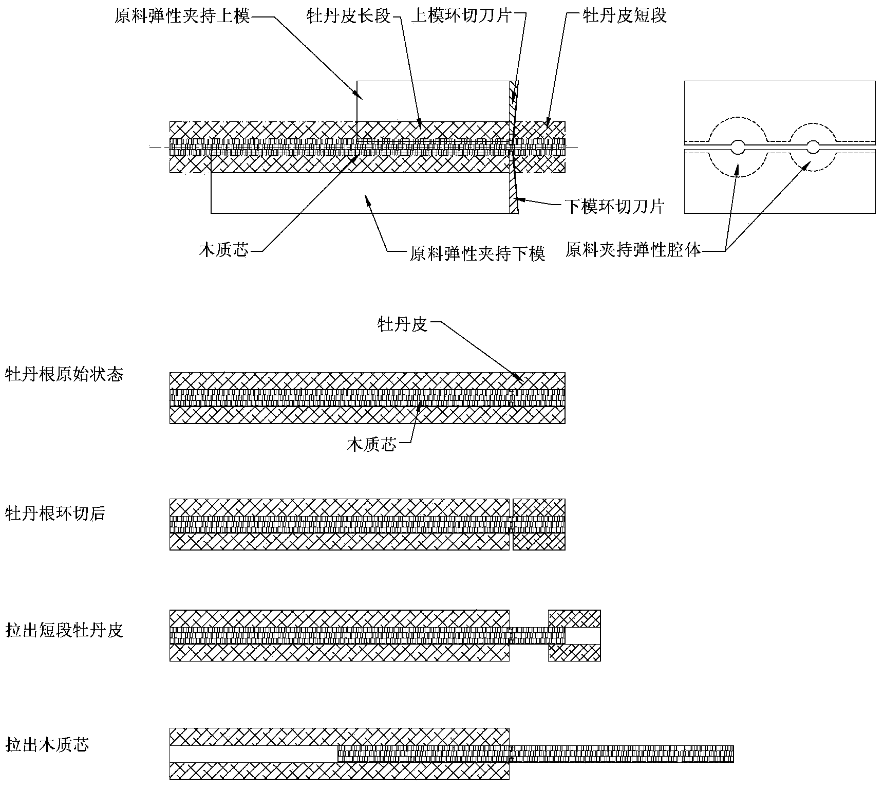 Method for peeling moutan bark