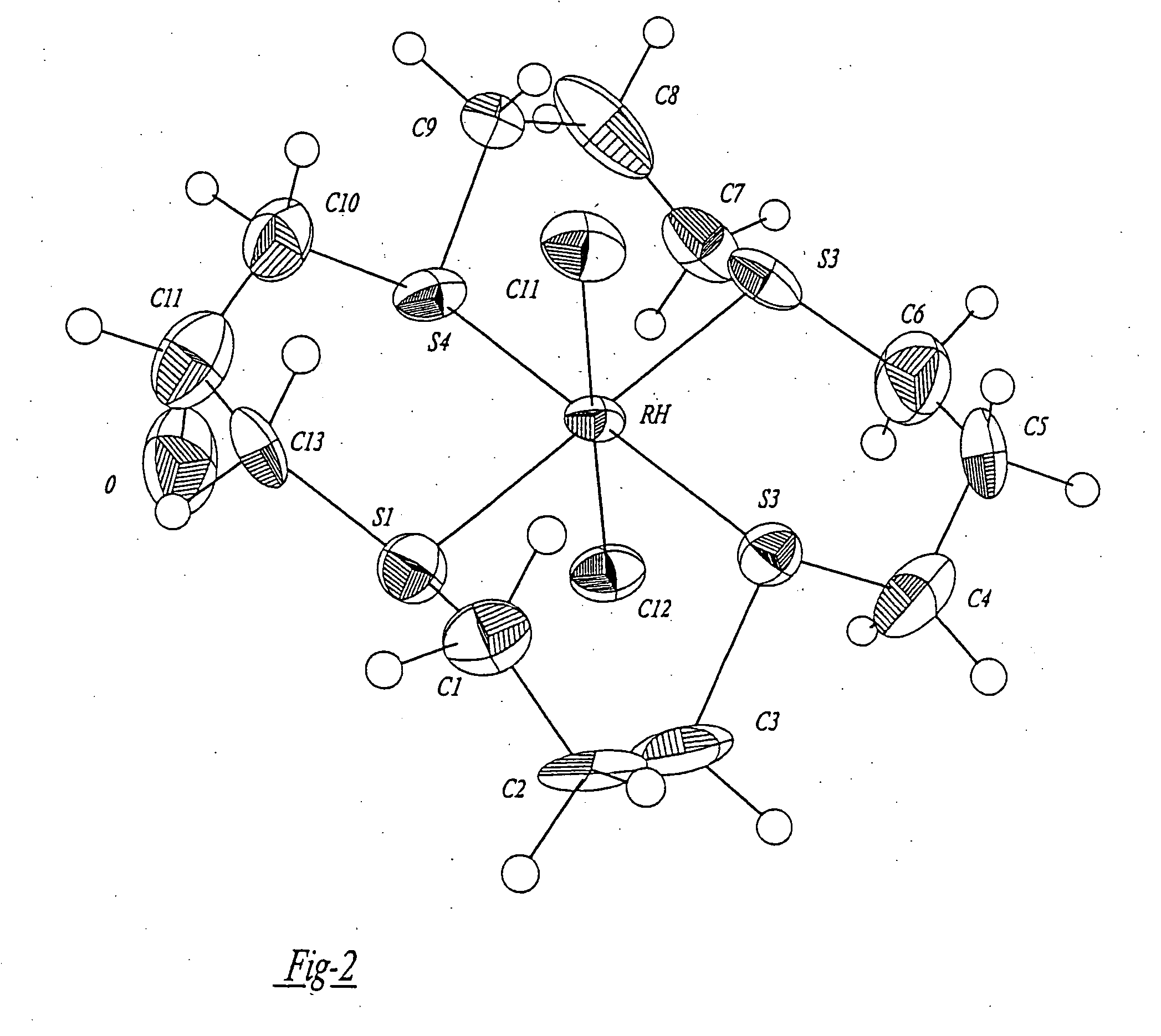 Gastrin receptor-avid peptide conjugates