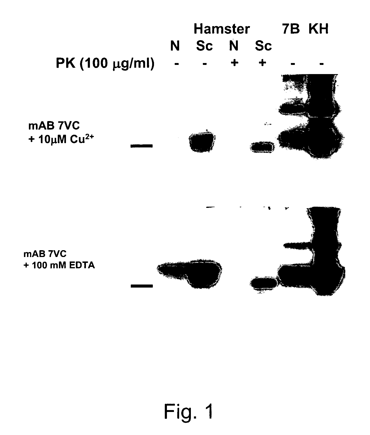 Use of monoclonal antibodies to distinguish protein conformational isoforms