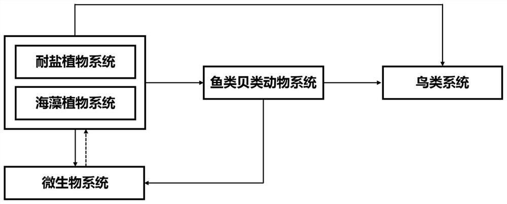 Construction method of floating type coastal small habitat system