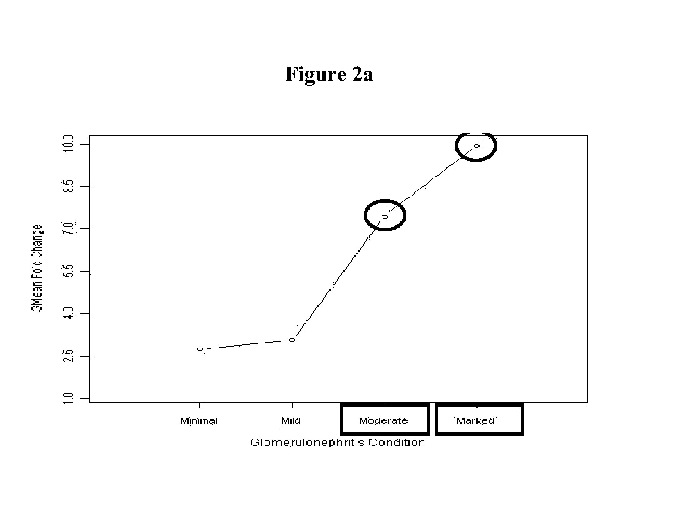 Compositions and methods for diagnosing and treating kidney disorders in a feline