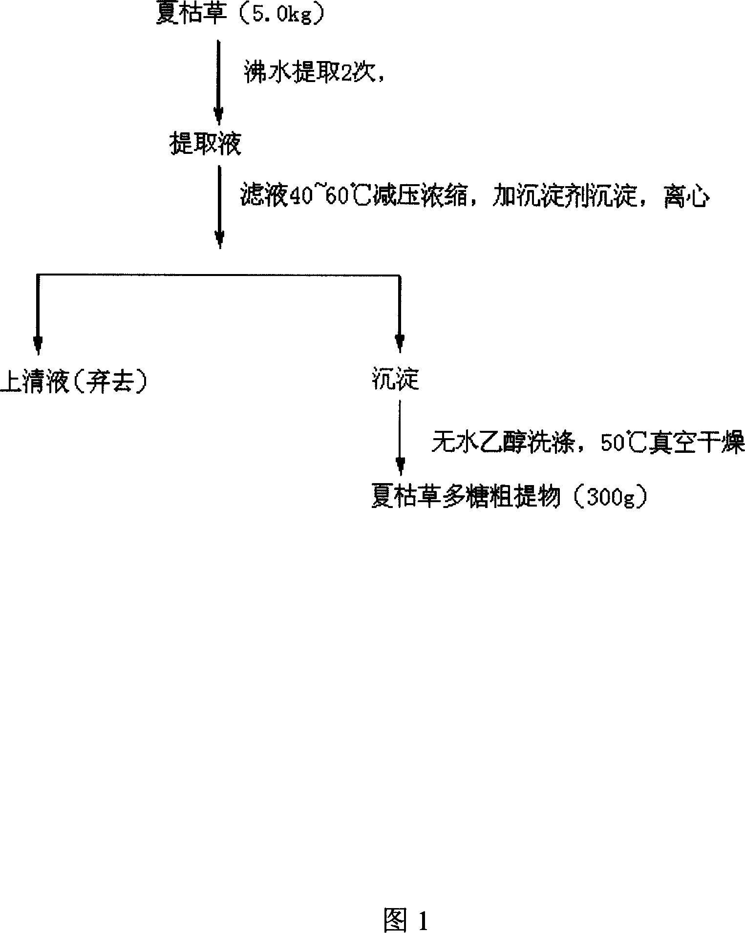 Prunella vulgaris polysaccharide having immune activity, preparation method and application thereof