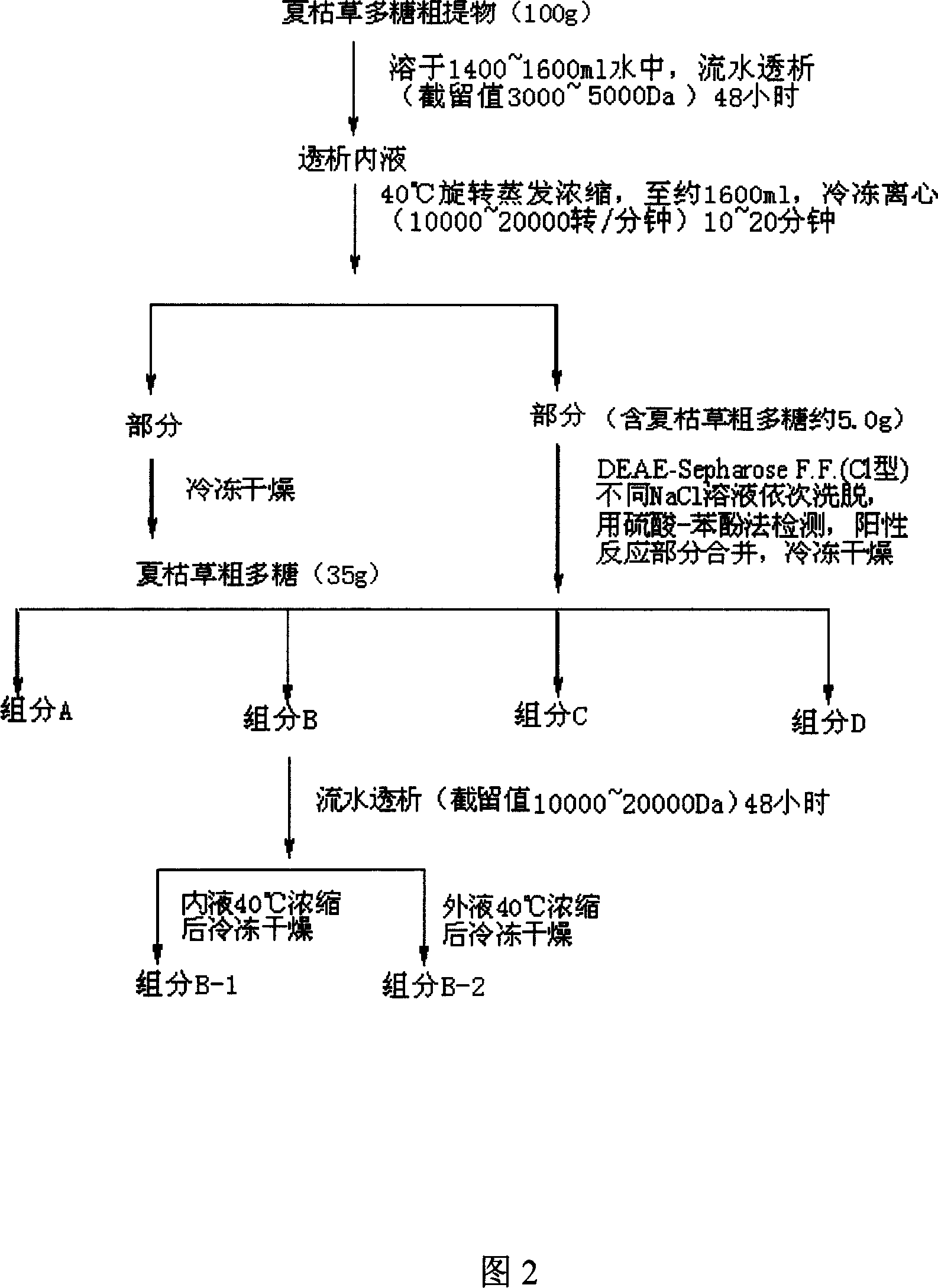 Prunella vulgaris polysaccharide having immune activity, preparation method and application thereof