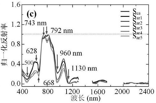 A Remote Sensing Identification Method for Marine Oil Spill Emulsion Based on Group Spectral Features