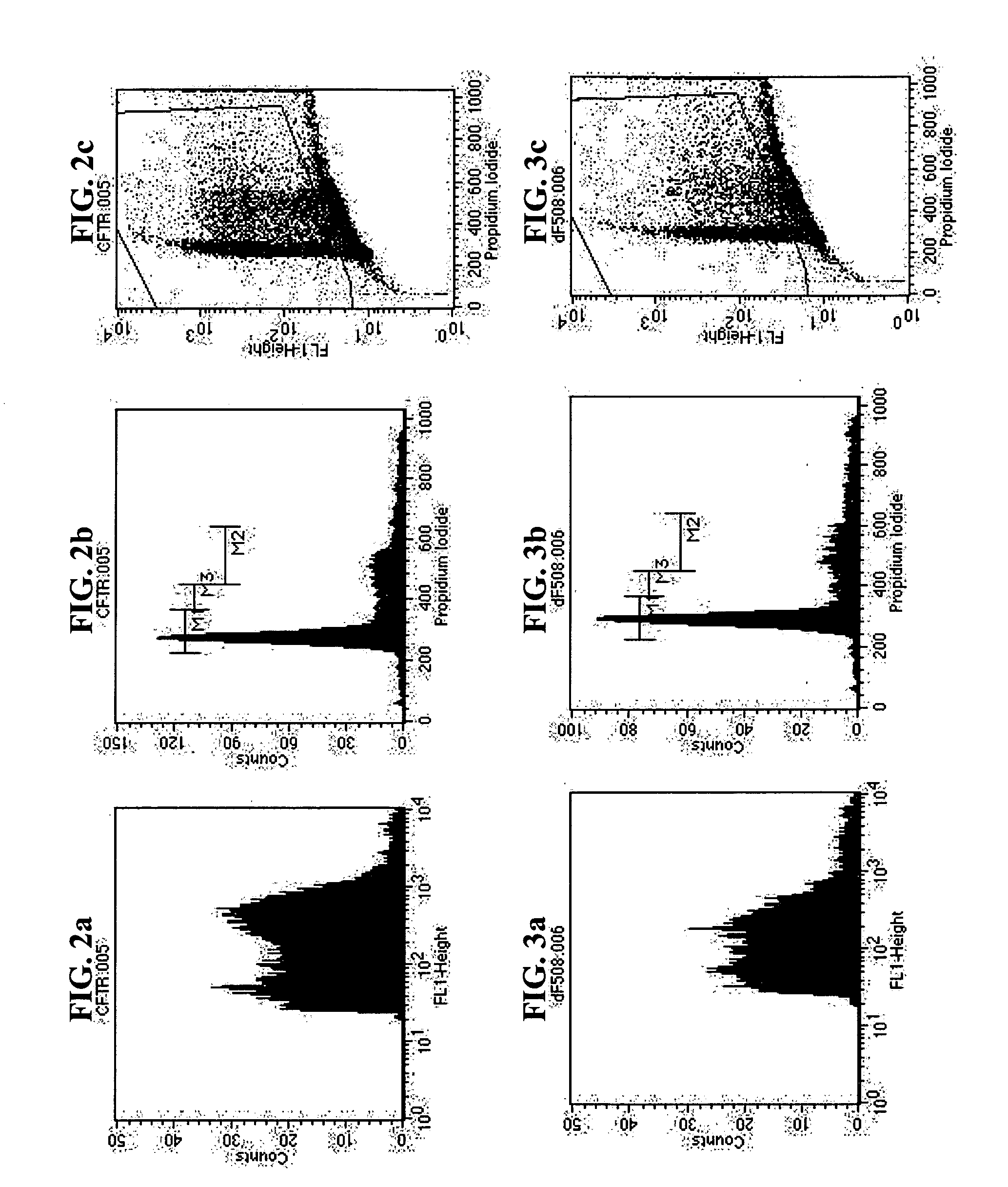 Use of a compound for enhancing the expression of membrane proteins on the cell surface