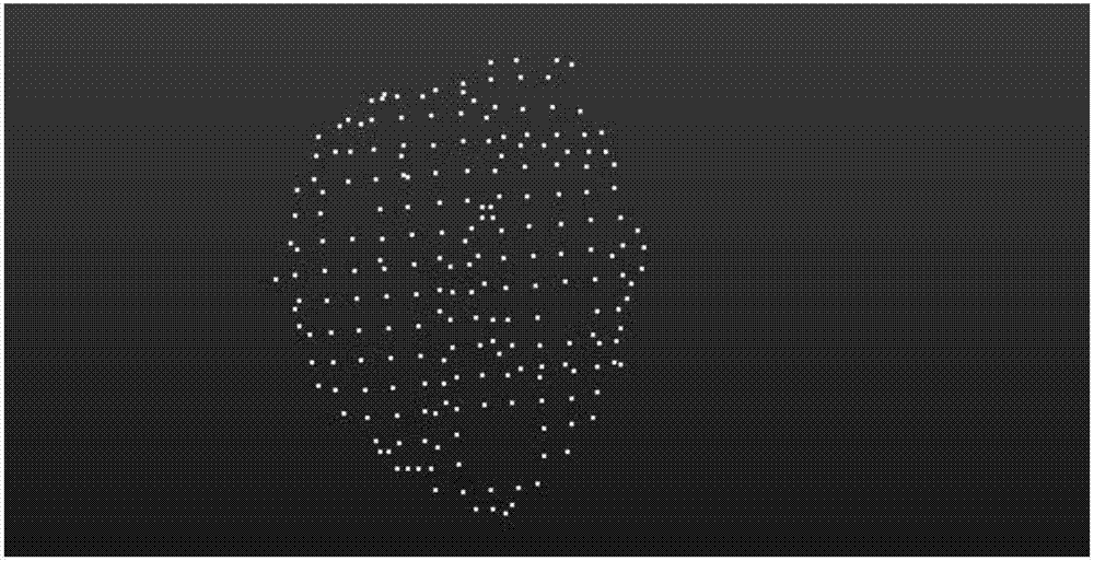 Plant leaf inclination angle calculation method based on three-dimensional point cloud data