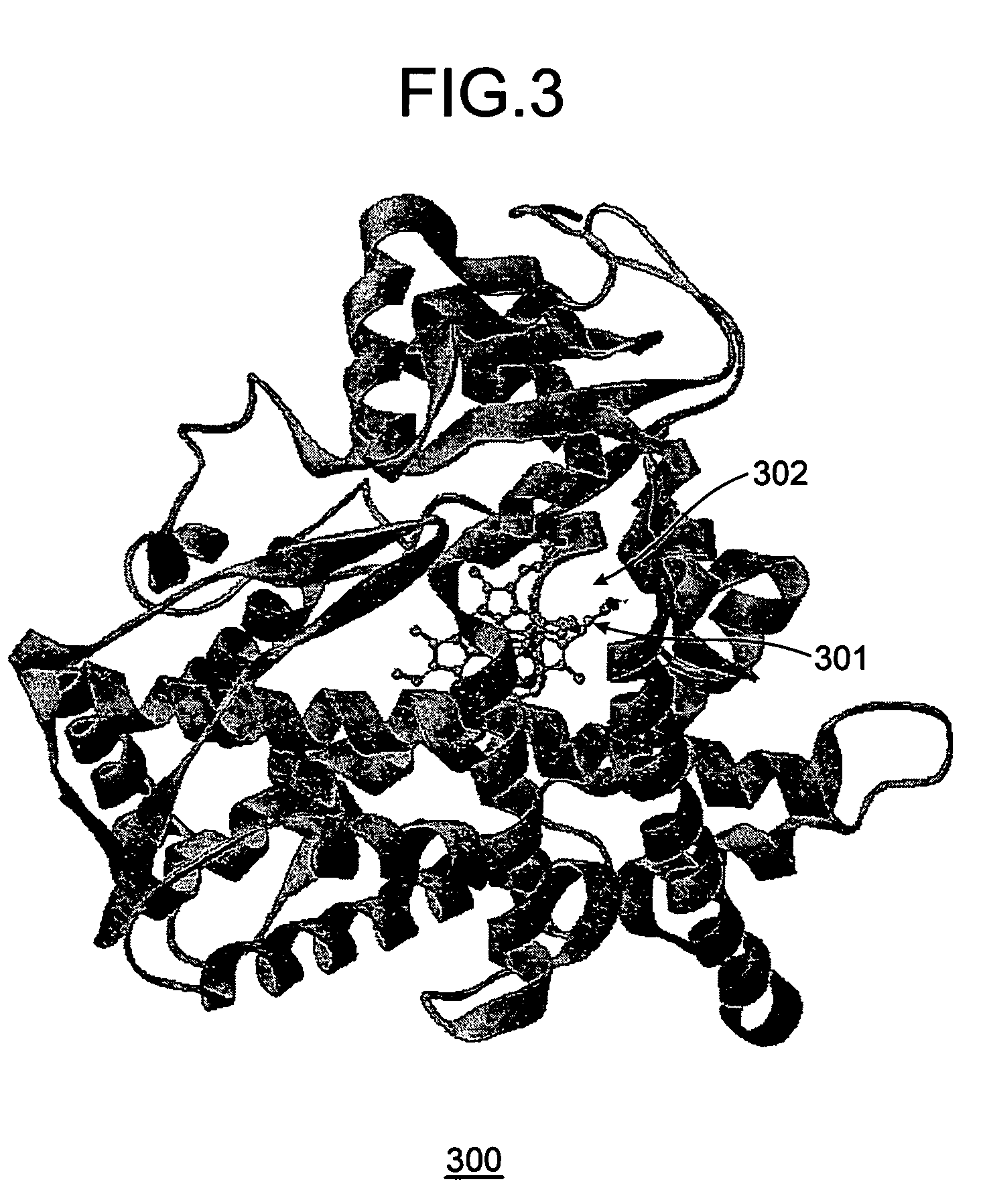 Apparatus, method, and computer product for supporting estimation of metabolism